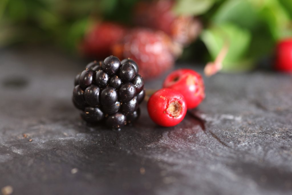 Blackberry and Rosehips 